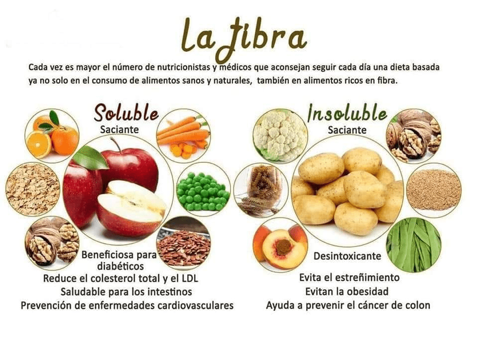 fibra