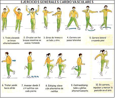 ejercicios cardiovasculares