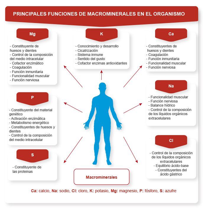 macrominerales