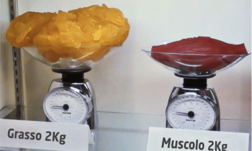 diferencia entre grasa y musculo 2kg