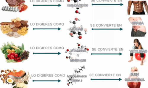 te conviertes en lo que comes