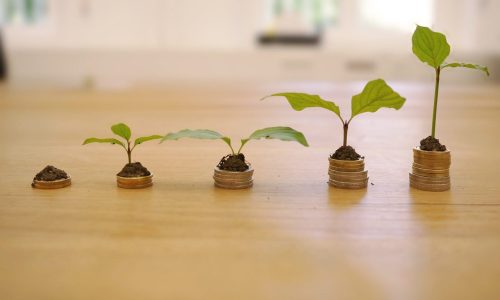 ahorros creciendo