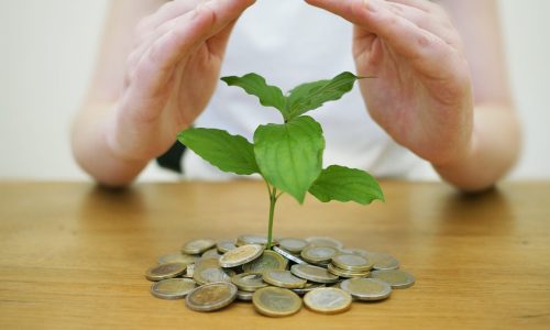 protegiendo tus ahorros