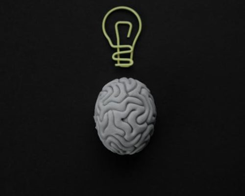 cerebro idea