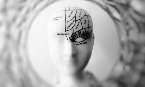 cerebro social