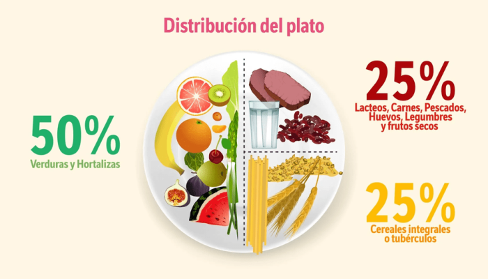 distribucion plato