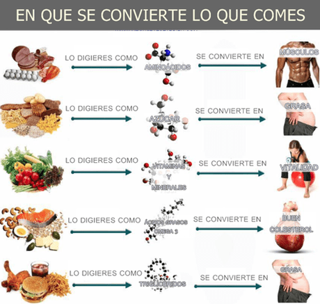 te conviertes en lo que comes