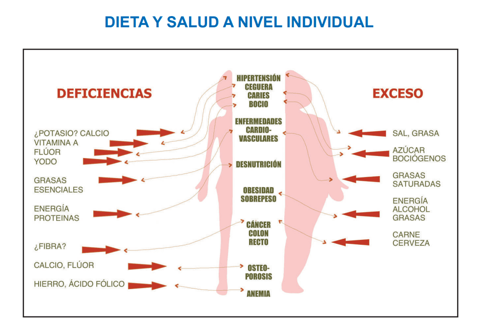 excesos de carbohidratos