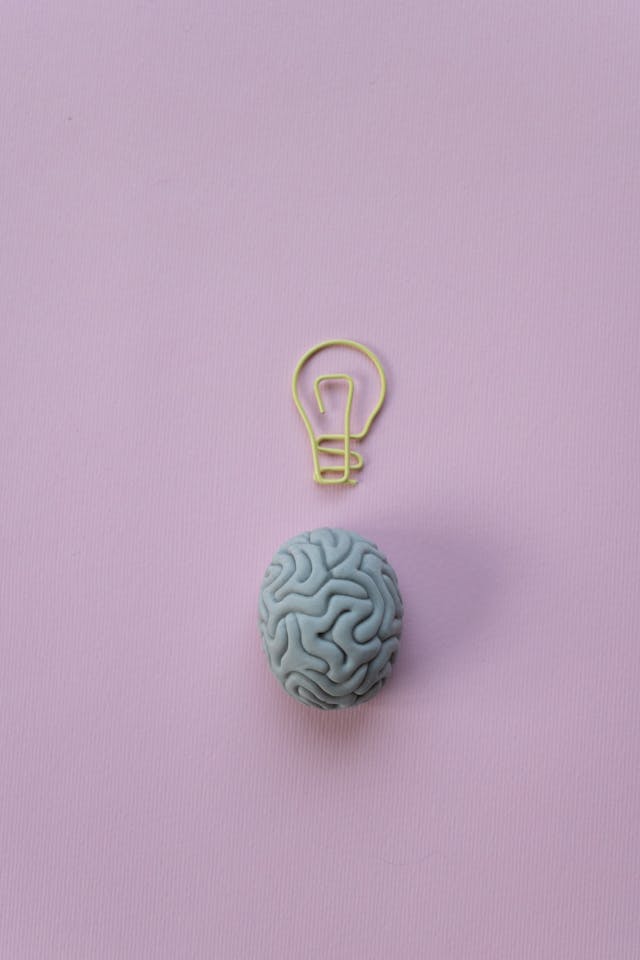 cerebro clip