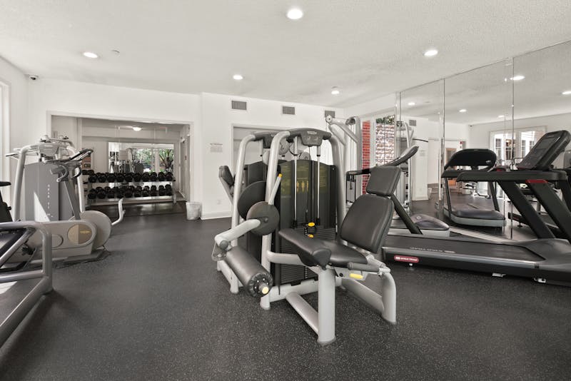 gimnasio alto estilo