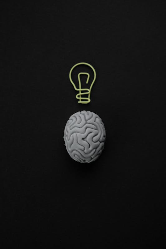 cerebro idea