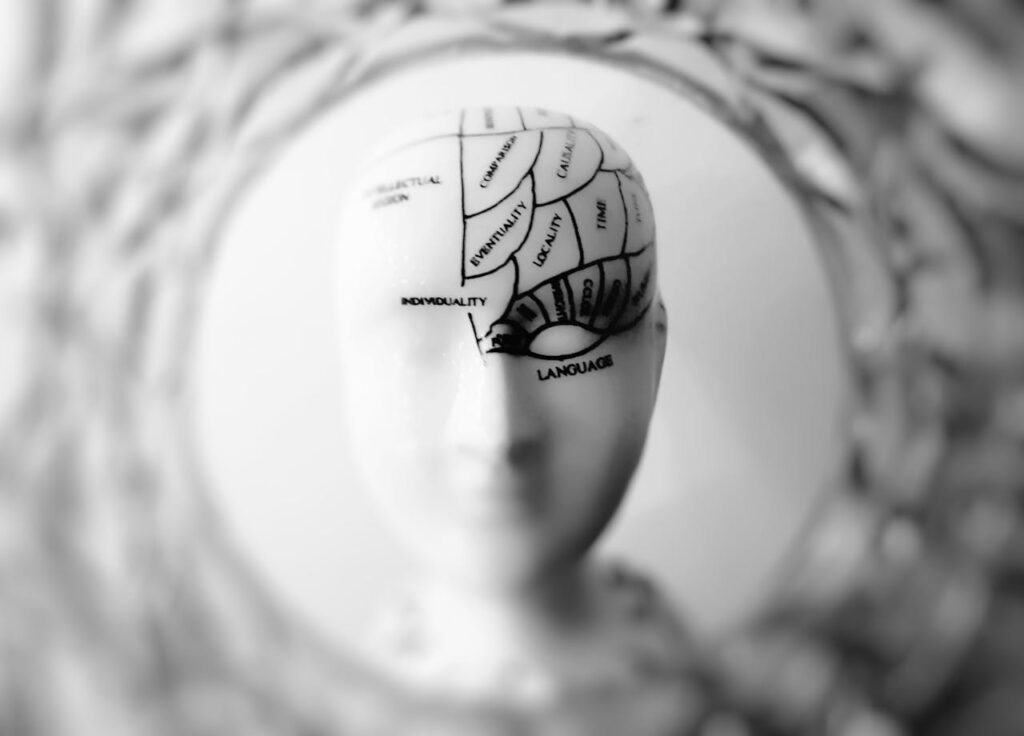 cerebro social